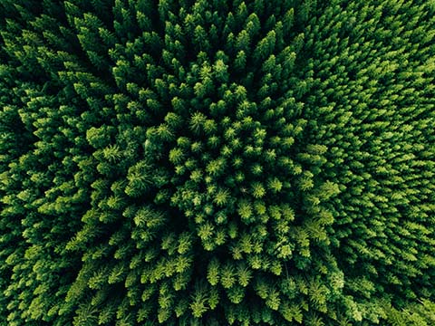 Sustainability Report 2025