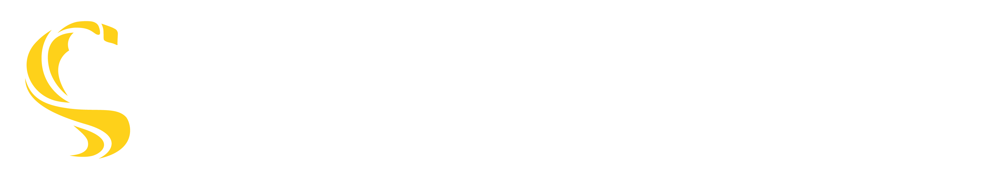 Simba Global Logo